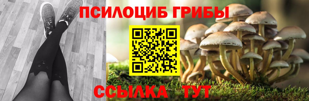 Псилоцибиновые грибы прущие грибы Домодедово