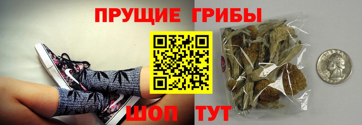 Псилоцибиновые грибы прущие грибы Домодедово