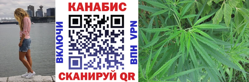 Марихуана SATIVA & INDICA  KRAKEN зеркало  Домодедово  где купить  